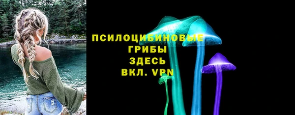 прущий лед Липки