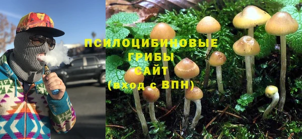 прущий лед Липки