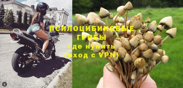 прущий лед Липки