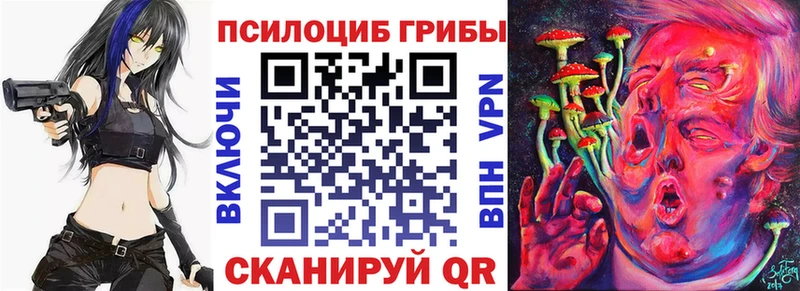 магазин    Лермонтов  MEGA   Галлюциногенные грибы Magic Shrooms 